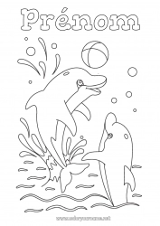 Coloriage gratuit Ballons Mer Animal Dauphin Animaux marins ou aquatique