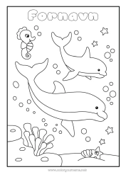 Fargeleggingssiden for barn Hav Dyr Delfin Hippocampus Marin eller akvatisk dyr