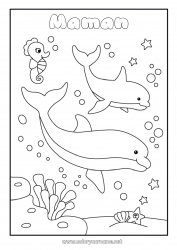 Coloriage enfant Mer Animal Dauphin Hippocampe Animaux marins ou aquatique