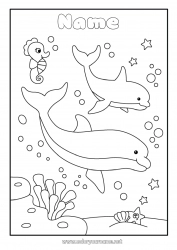 Free drawing Sea Animal Dolphin Seahorse Marine or aquatic animals