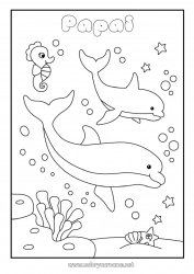 Página de desenho infantil Mar Animal Golfinho Cavalo-marinho Animais marinhos ou aquáticos