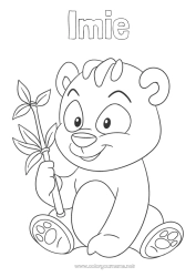 Rysunek za darmo Słodki Zwierzę Panda Inne zwierzęta świata