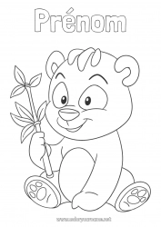 Coloriage gratuit Mignon Animal Panda Autres animaux du monde