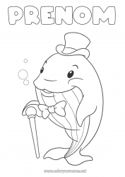 Coloriage gratuit Baleine Animal Animaux marins ou aquatique