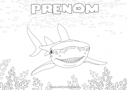 Coloriage gratuit Mer Requin Animaux marins ou aquatique