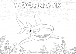 Gratis tekening Zee Haai Zeedieren