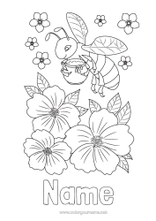 Free colouring Flowers Animal Bee Intermediate colouring sheets Insects Hibiscus Honey
