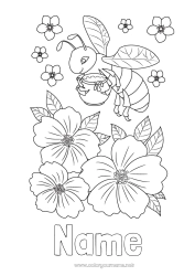 Free drawing Flowers Animal Bee Intermediate coloring pages Insects Hibiscus Honey