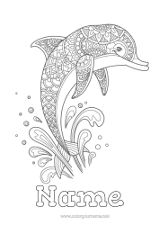 Free colouring Mandala Sea Animal Dolphin Intermediate colouring sheets Marine or aquatic animals