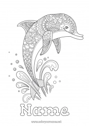 Free coloring Mandala Sea Animal Dolphin Intermediate coloring pages Marine or aquatic animals