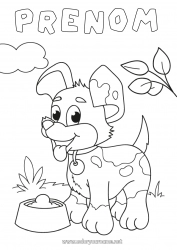 Coloriage gratuit Chien Animal Chiens et chats