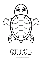 Free colouring Cute Tortoise Animal Easy colouring pages Marine or aquatic animals Reptiles Sea turtle Tortoise