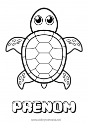 Coloriage à personnaliser Mignon Tortue Animal Coloriages faciles Animaux marins ou aquatique Reptiles Tortue marine Tortue terrestre