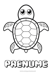 Pagină de colorat personalizată Drăguț Broască țestoasă Animal Desene de colorat ușoare Animale marine sau acvatice Reptile Broască țestoasă marină Broască țestoasă terestră