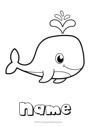 Free coloring Cute Whale Animal Easy coloring pages Marine or aquatic animals