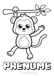 Desen liber de colorat Drăguț Animal Maimuță Desene de colorat ușoare Animale sălbatice din Africa