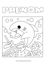 Coloriage gratuit Mer Animal Coloriages intermédiaires Requin Animaux marins ou aquatique