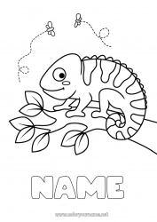 Free drawing Cute Animal Easy coloring pages Chameleon Reptiles