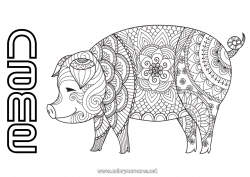 Free coloring Mandala Pig Animal Chinese New Year Farm animals