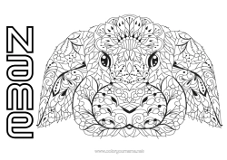 Free colouring Mandala Rabbit Animal Forest animals