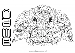 Free coloring Mandala Bunny Animal Forest animals