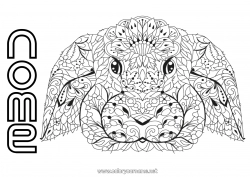 Desenho grátis Mandala Coelho Animal Animais da floresta