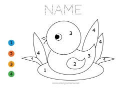 Free colouring Figure Bird Children's activities Animal Duck Birds and flying mammals