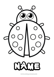 Free colouring Animal Ladybird Easy colouring pages Insects