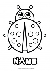Coloring to customize Animal Ladybug Easy coloring pages Insects