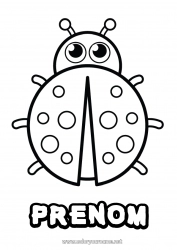 Coloriage à personnaliser Animal Coccinelle Coloriages faciles Insectes