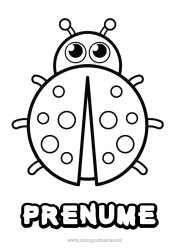 Pagină de colorat gratuită Animal Gărgăriță Desene de colorat ușoare Insecte