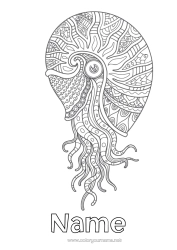 Free colouring Mandala Sea Animal Shellfish Complex colouring pages Marine or aquatic animals
