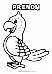 Coloriage gratuit Oiseau Été Animal Perroquet Coloriages faciles Oiseaux et mammifères volants