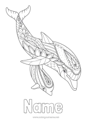 Free colouring Mandala Sea Animal Dolphin Intermediate colouring sheets Marine or aquatic animals