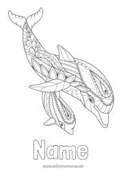 Free drawing Mandala Sea Animal Dolphin Intermediate coloring pages Marine or aquatic animals