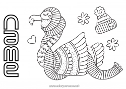 Free coloring Winter Bird Animal Pink flamingo Flying birds and mammals