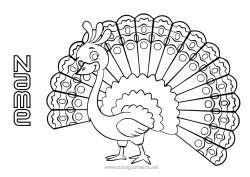 Free colouring Animal Peacock Intermediate colouring sheets Birds and flying mammals