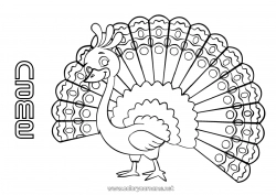 Free coloring Animal Peacock Intermediate coloring pages Flying birds and mammals