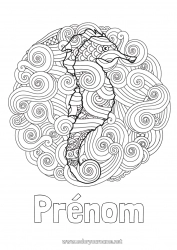 Dessin gratuit Mandala Mer Animal Hippocampe Coloriages complexes Animaux marins ou aquatique Vagues