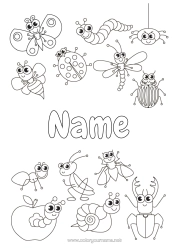 Free colouring Spider Animal Ladybird Ant Insects Dragonfly