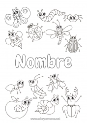 Colorear gratis Araña Animales Mariquita Hormiga Insectos Libélula