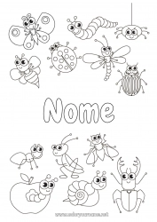 Colorare per personalizzare Ragno Animale Coccinella Formica Insetti Libellula