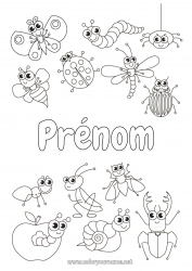 Dessin gratuit Araignée Animal Coccinelle Fourmi Insectes Libellule