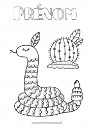 Dessin gratuit Animal Serpent Cactus Reptiles