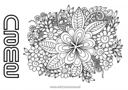 Free drawing Flowers Calm and zen Mandala