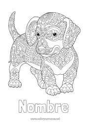 Colorear gratis Calma y zen Mandala Perro Animales Perros y gatos