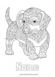 Desenho grátis Calmo e zen Mandala Cachorro Animal Cães e gatos