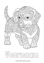 Gratis tekening Rustig en zen Mandala Hond Dier Honden en katten