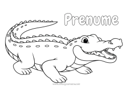Desen liber de colorat Crocodil Animal Desene de colorat ușoare Reptile
