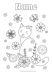 Free colouring Flowers Cat Butterfly Animal Insects Dogs and cats